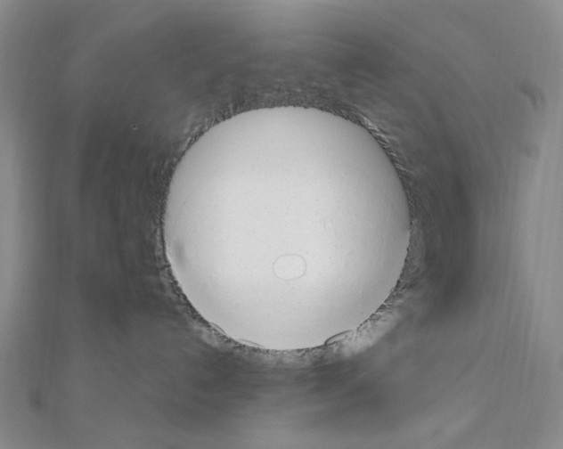 X0000110930192200907301631