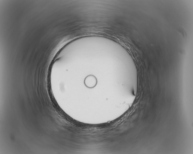 X0000110930195200907301630