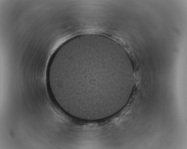 X0000110930196200907301630