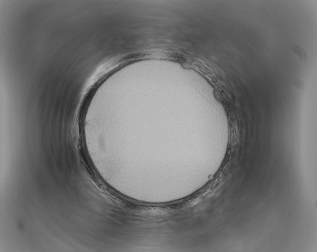 X0000110930198200907301630