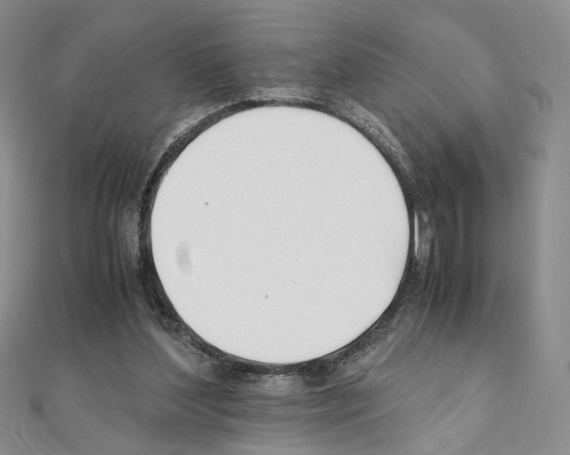 X0000110930204200907301630