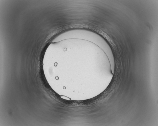 X0000110930207200907301630