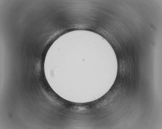 X0000110930208200907301630