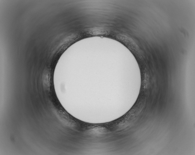 X0000110930210200907301630