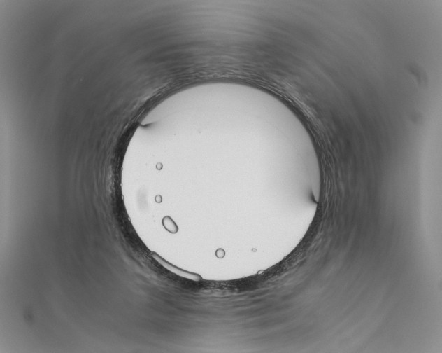 X0000110930211200907301630