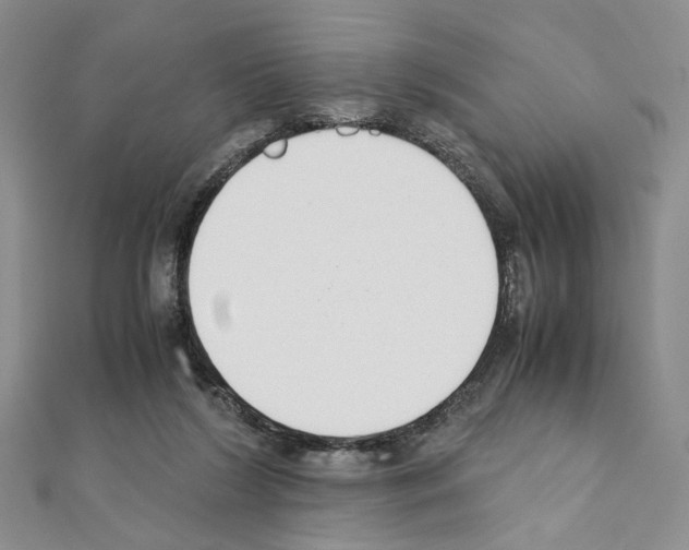 X0000110930212200907301630