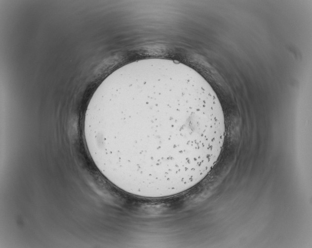 X0000110930213200907301630