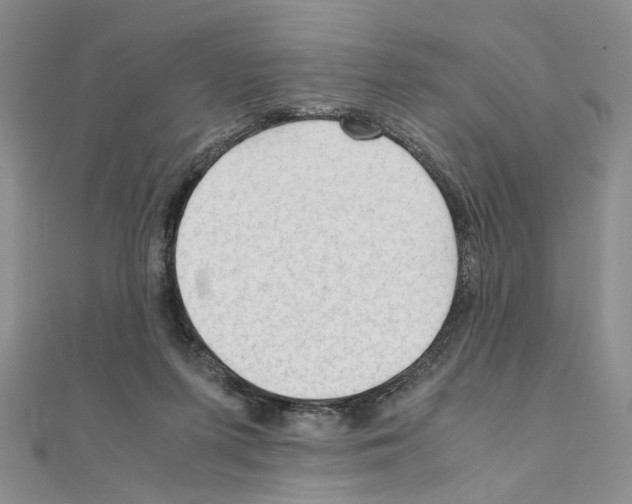 X0000110930215200907301630
