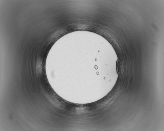X0000110930216200907301630