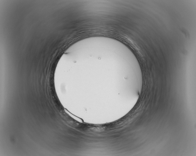 X0000110930217200907301630