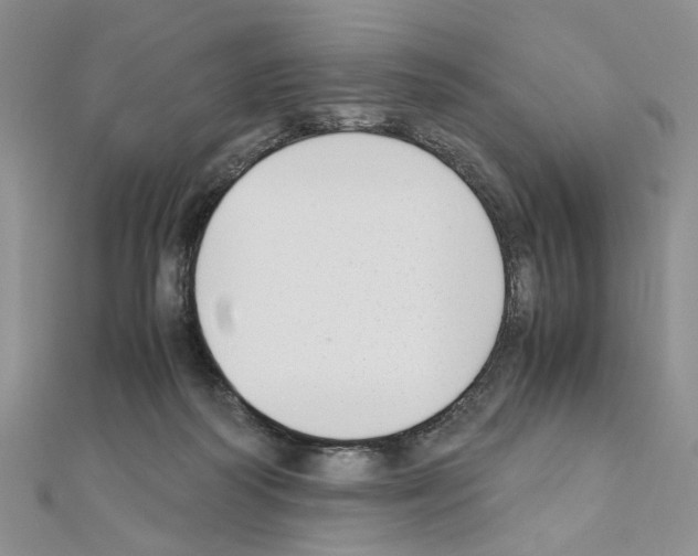 X0000110930218200907301630