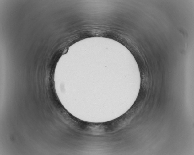 X0000110930221200907301630