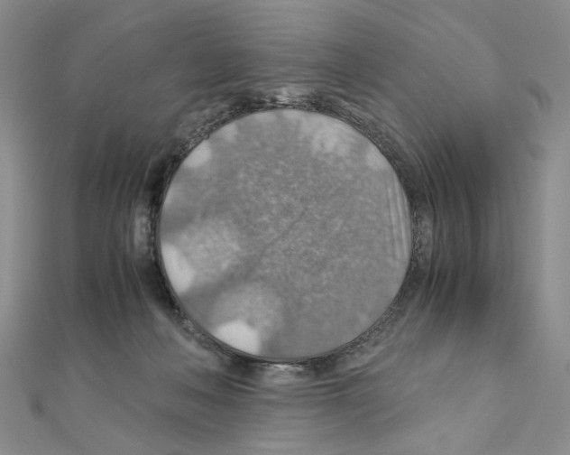X0000110930222200907301630