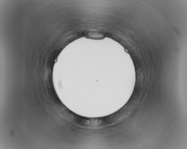 X0000110930225200907301630