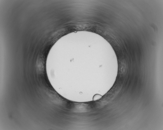 X0000110930226200907301630