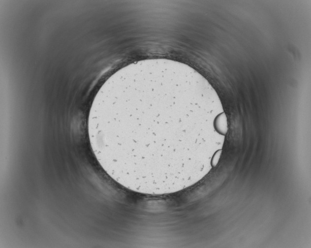 X0000110930228200907301630