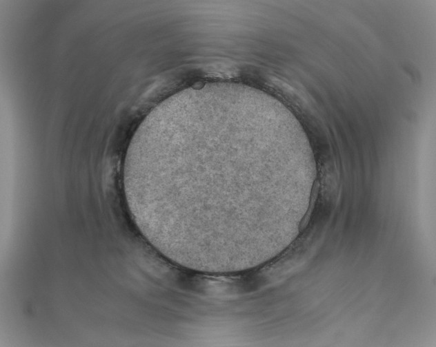 X0000110930229200907301630