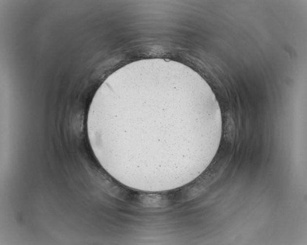 X0000110930230200907301630