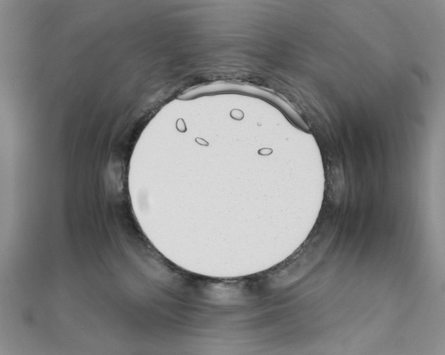 X0000110930232200907301630