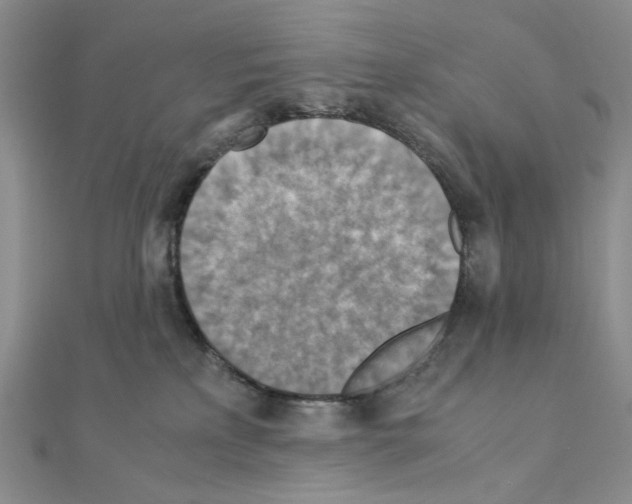 X0000110930233200907301630