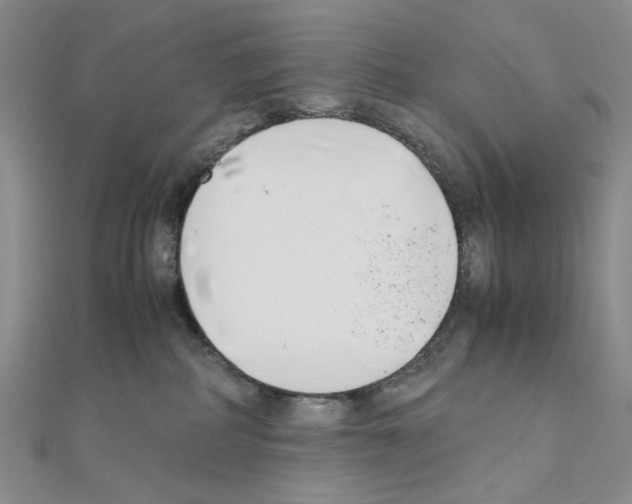 X0000110930234200907301630
