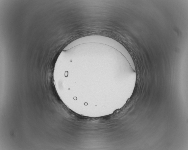 X0000110930235200907301630