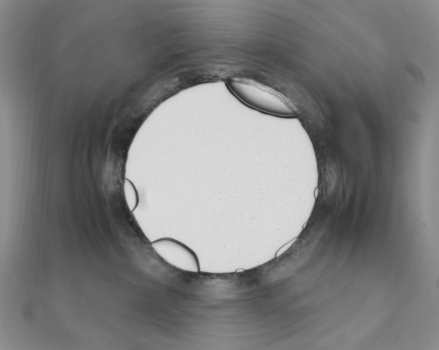 X0000110930236200907301630