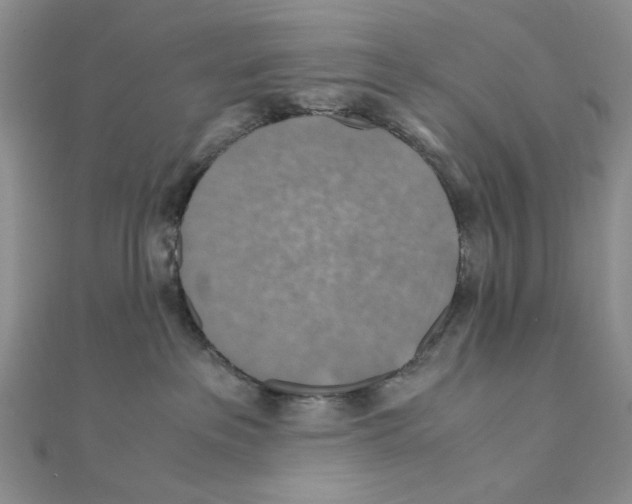 X0000110930237200907301630