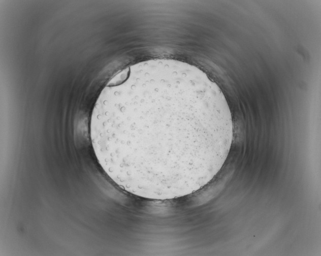 X0000110930238200907301630