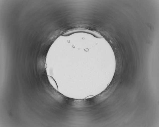 X0000110930240200907301630