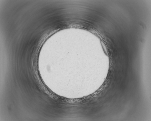 X0000110930241200907301629