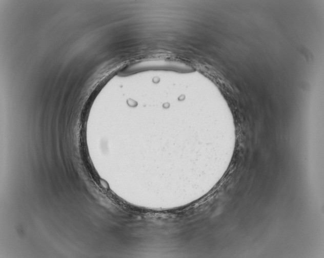 X0000110930242200907301629