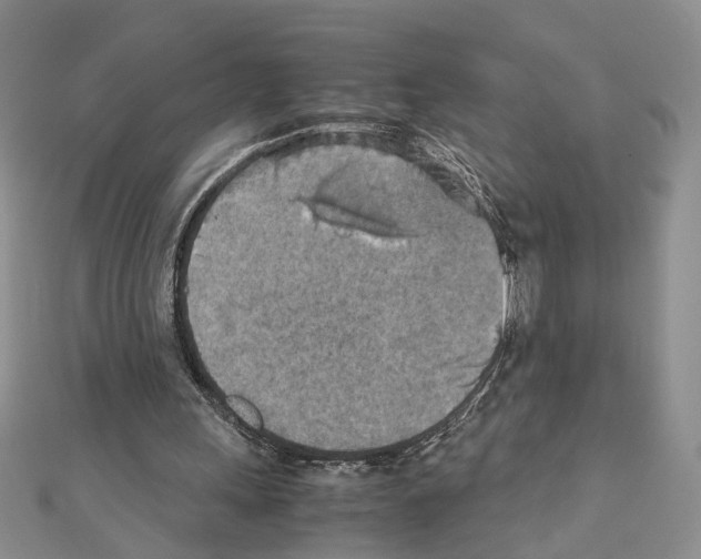 X0000110930243200907301629