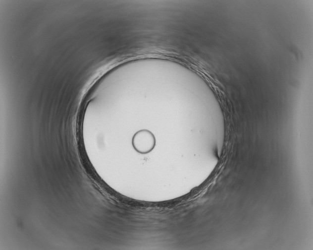 X0000110930244200907301629