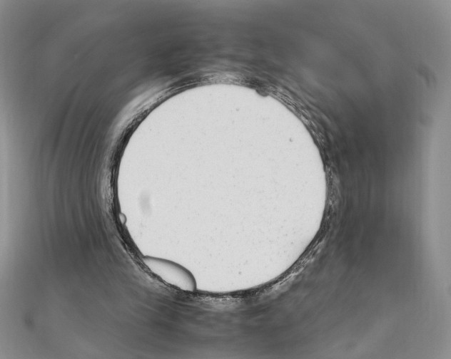 X0000110930245200907301629