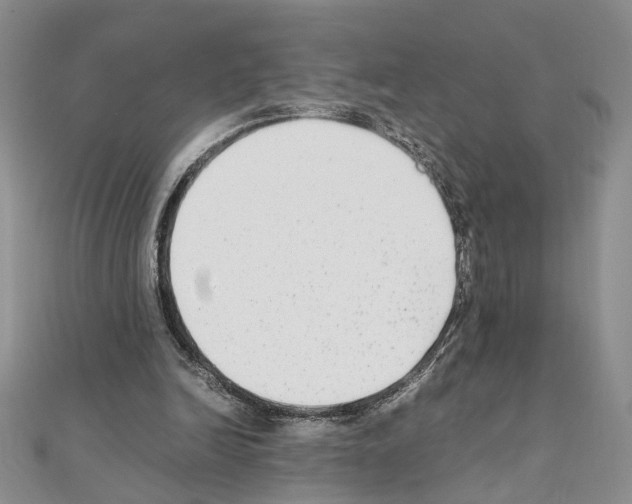 X0000110930246200907301629