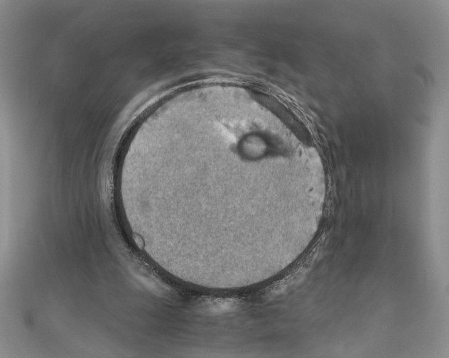 X0000110930247200907301629