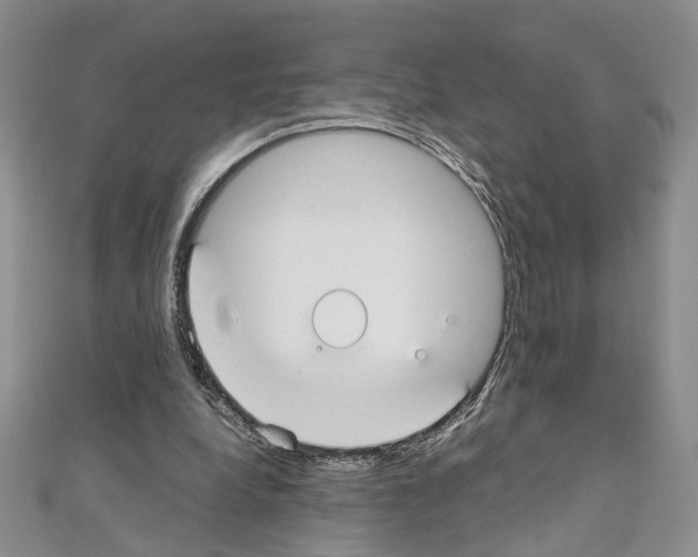 X0000110930248200907301629