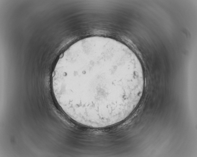 X0000110930249200907301629