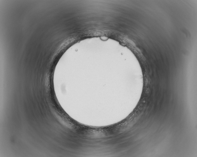 X0000110930250200907301629