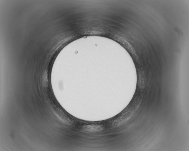 X0000110930251200907301629
