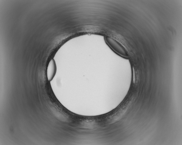 X0000110930252200907301629