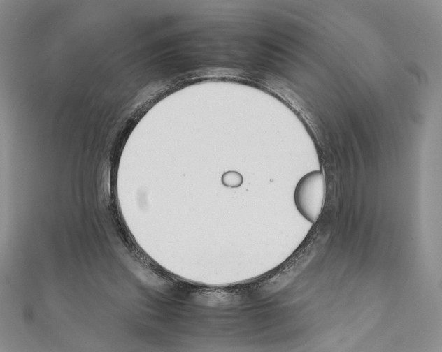 X0000110930253200907301629
