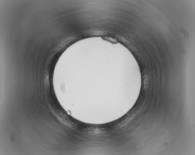 X0000110930254200907301629
