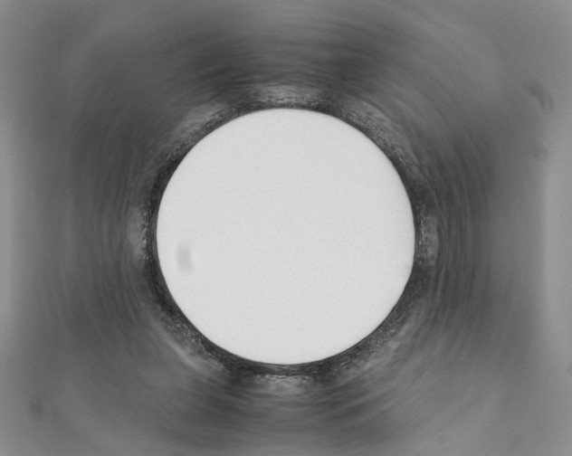 X0000110930255200907301629