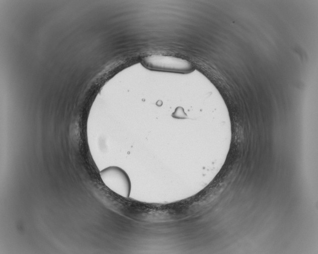 X0000110930256200907301629
