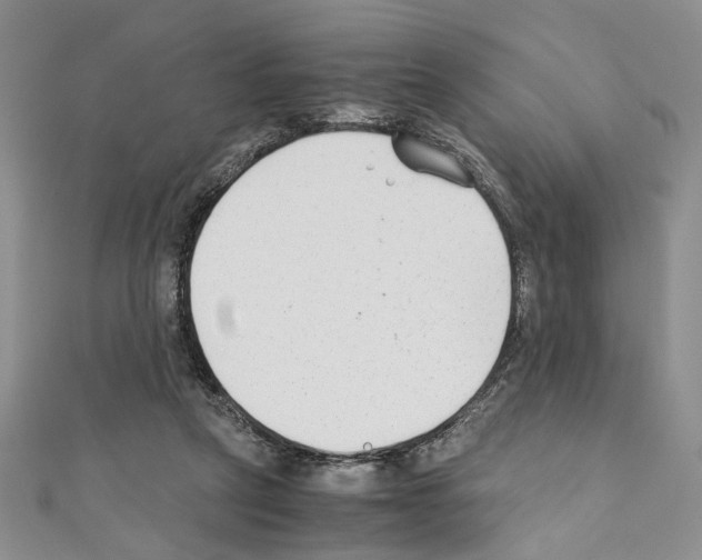 X0000110930257200907301629