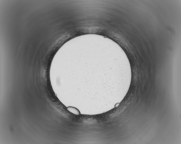 X0000110930258200907301629
