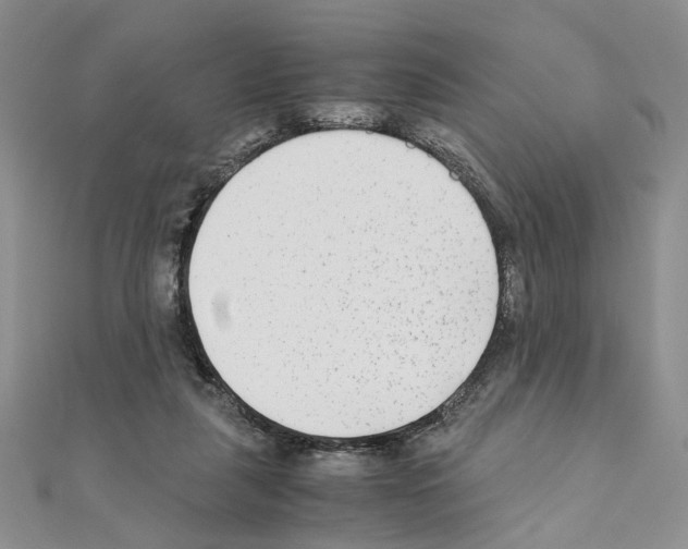 X0000110930259200907301629