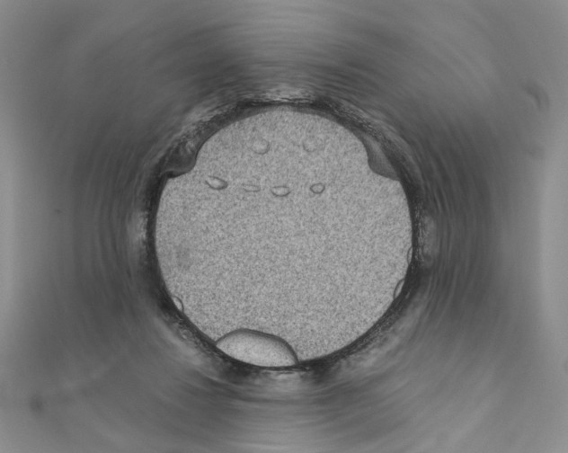 X0000110930260200907301629
